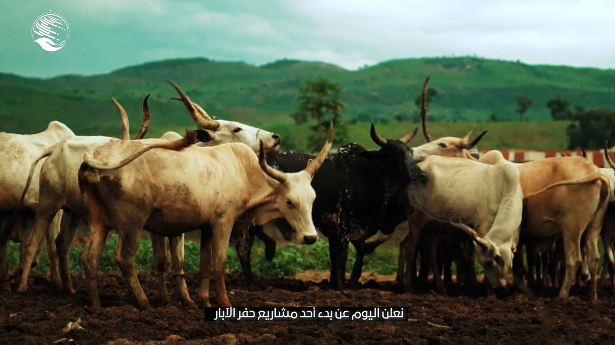 நைஜீரியால் தோன்றும் புதிய நம்பிக்கை…