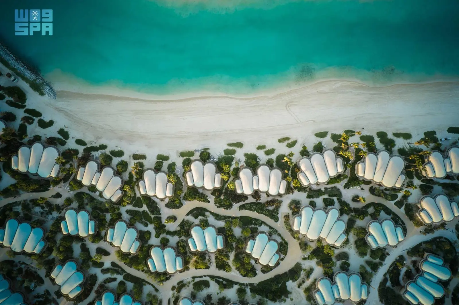 செங்கடலின் டொல்பின் புதிய ஷுறா தீவு….