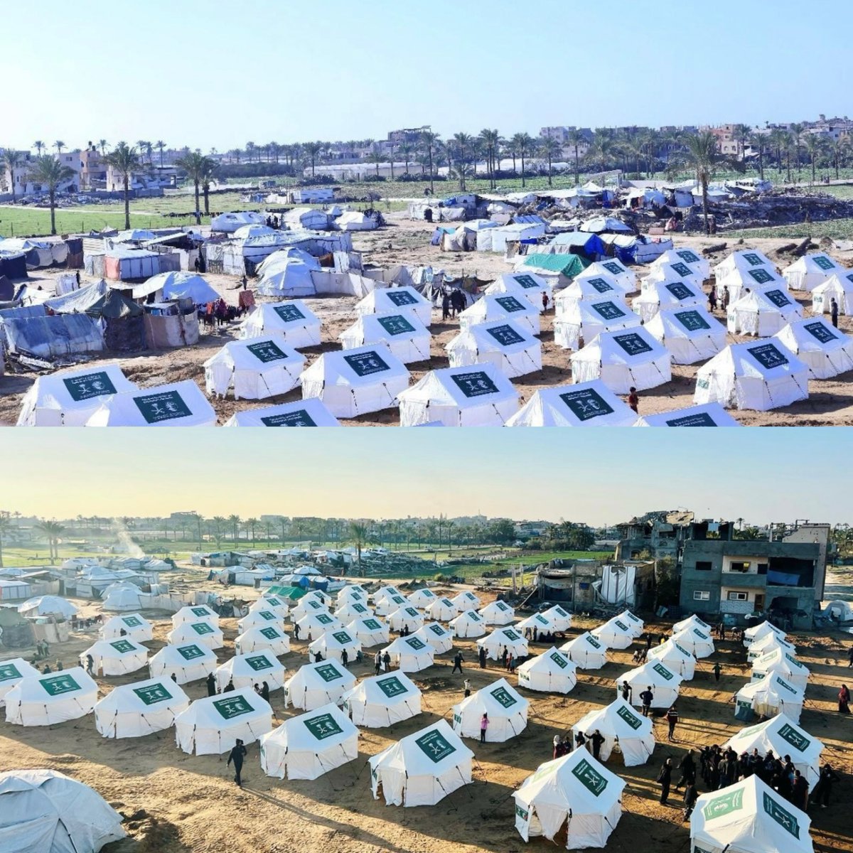 ஈடு இணையற்ற மனிதாபிமானம்: காசா மக்களுக்காக 72 மணி நேரத்தில் பிரம்மாண்ட முகாம் அமைத்த சவூதி அரேபியா!