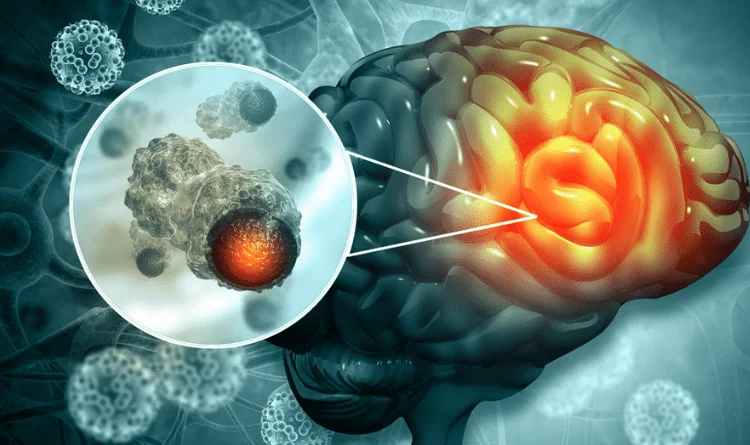 நஜ்ரான் பல்கலைக்கழகத்திற்கு சர்வதேச அங்கீகாரம்: செயற்கை நுண்ணறிவு மற்றும் சுற்றுச்சூழல் பாதுகாப்பில் இரட்டைச் சாதனை!
